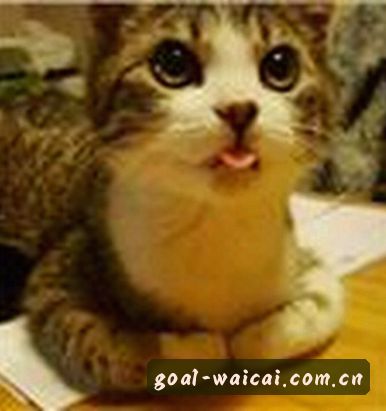 李鹏